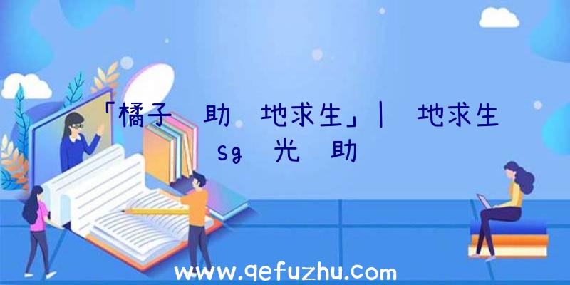 「橘子辅助绝地求生」|绝地求生sg闪光辅助